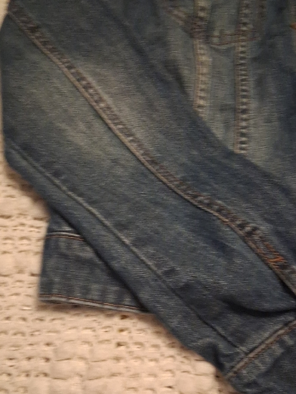 Blue Jean Jacket - Picture 5 of 14